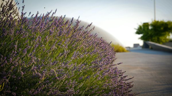 Wie kann man den Komfort in der Wohnung maximieren?